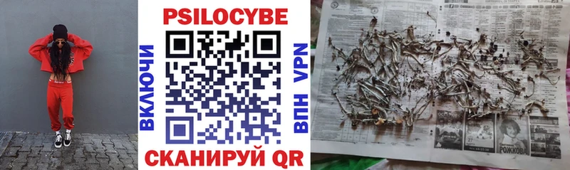 Псилоцибиновые грибы мицелий  Североуральск 